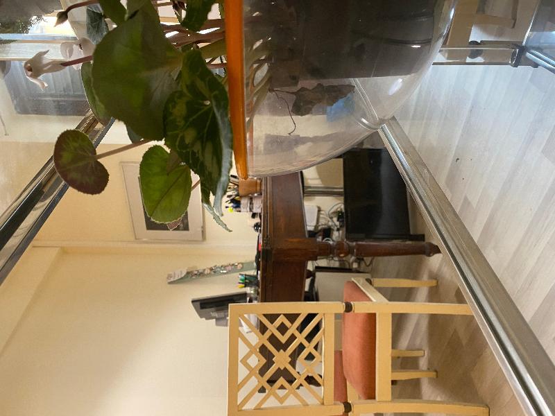 Panzani 14 Touristhouse Hotel Монтеспертоли Екстериор снимка